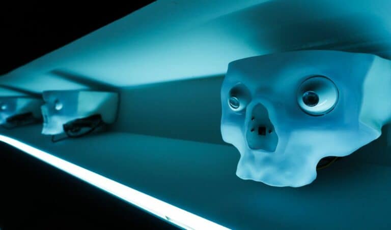 Cool AI Robots: The Next Generation of Interactive Machines